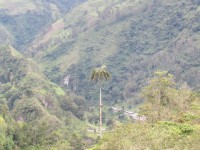 /album/fotogaleria/pao-5-jpg/